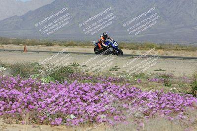 media/Feb-04-2023-SoCal Trackdays (Sat) [[8a776bf2c3]]/Turn 15 Inside Blooming (1050am)/